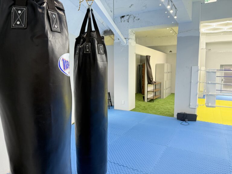投稿についてもっと詳しく 【練馬区・杉並区】キックボクシングで始める、もう失敗しないトレーニング｜スターライトジム